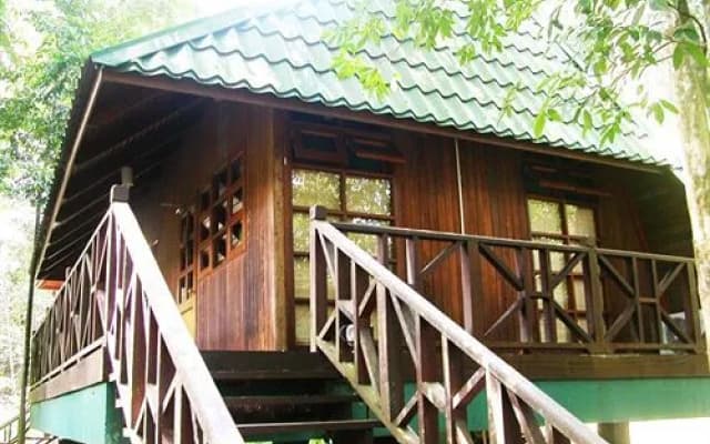 Tabin Wildlife Resort - photo 5