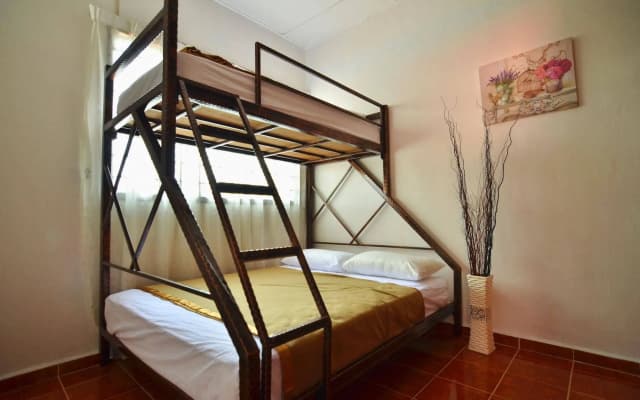 Camelia House - photo 4