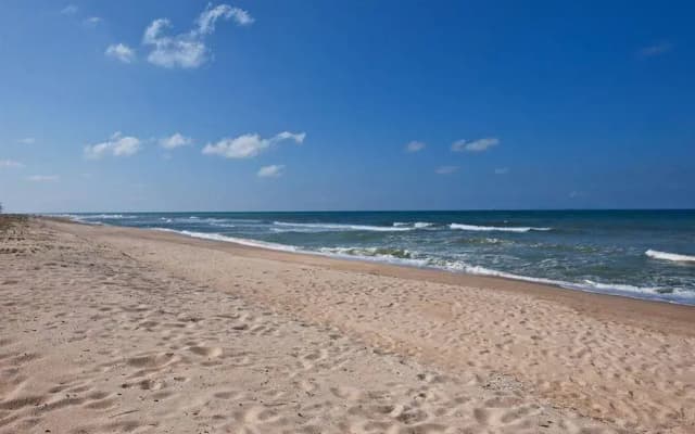 The Aryani Resort - photo 3