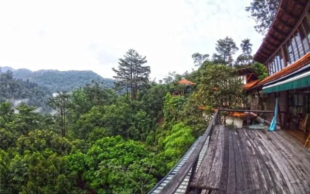 Langit Rimba Resort - photo 4