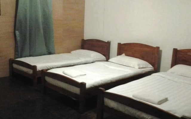 Always Growing 79 Guesthouse - photo 2