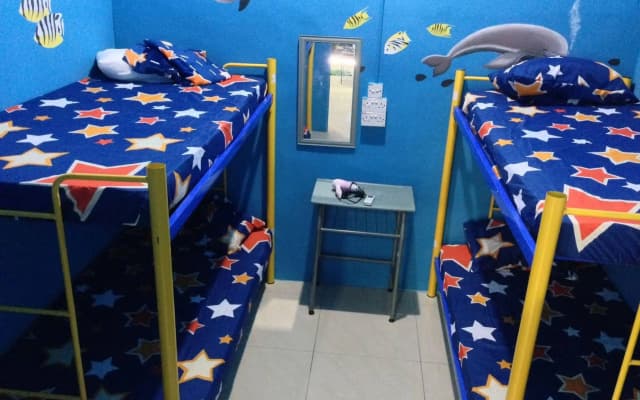 Bubble Backpackers - photo 2