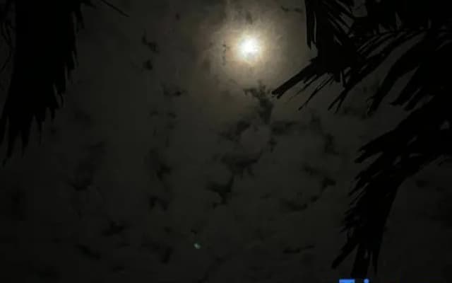 The Firefly Resort Semporna - photo 3