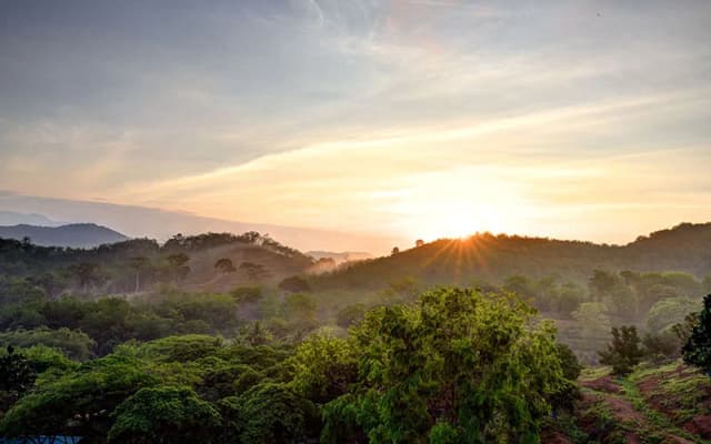 The Orchard Wellness & Health Resort Hotel - photo 3