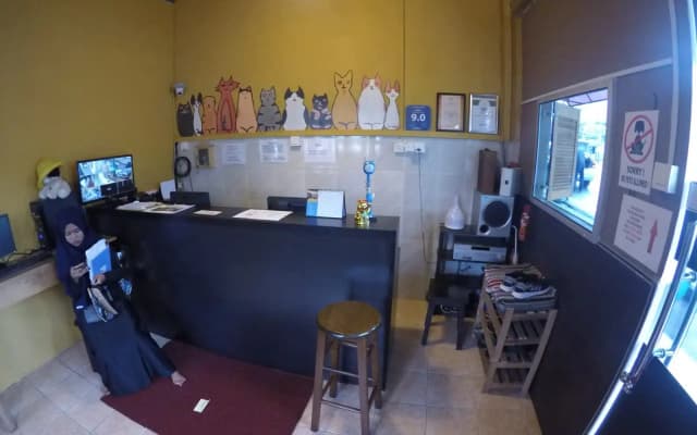 Quiik Cat Mini-Hotel - photo 3