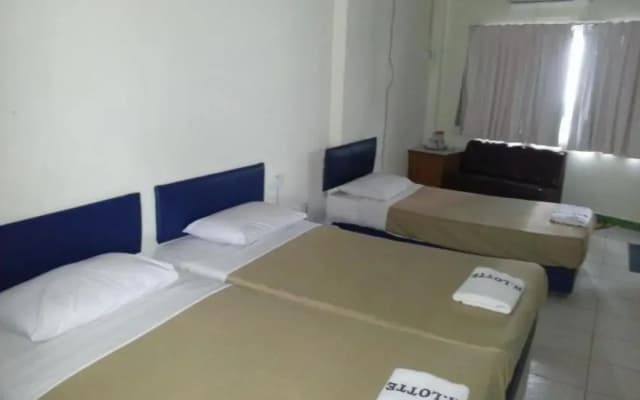 Hotel Lotte - photo 2
