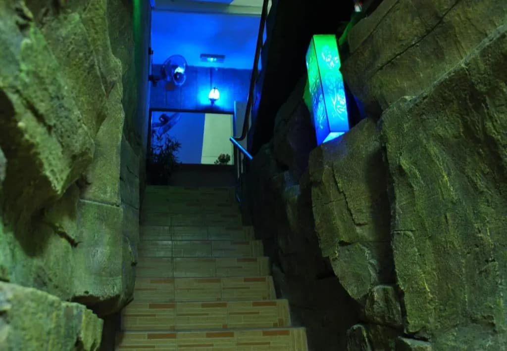 Havana Guest House - photo 9