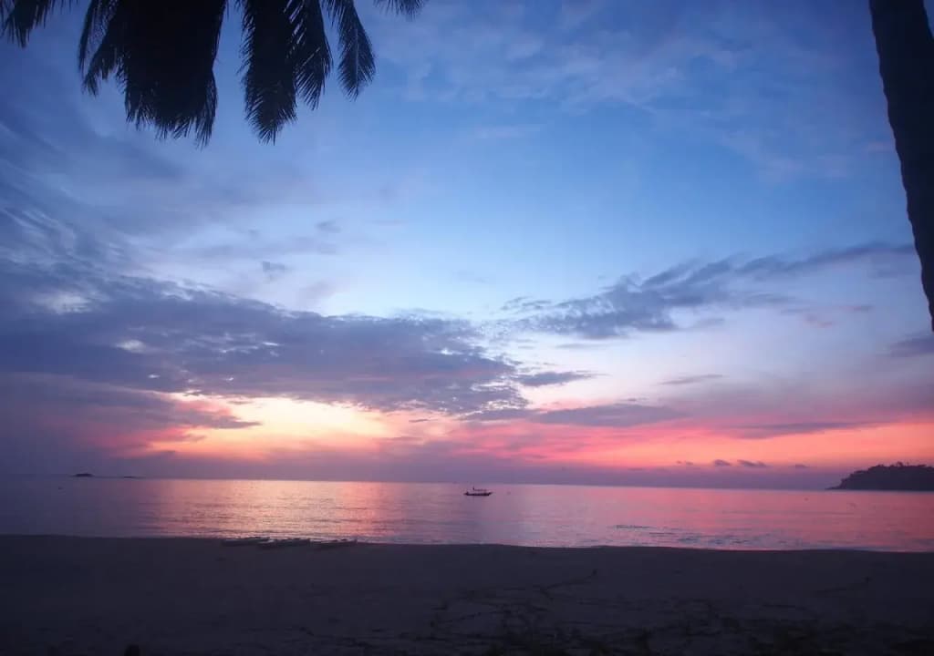 Juara Mutiara Resort - photo 12