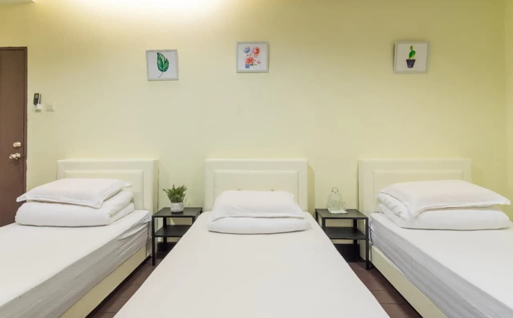 Amethyst Love Guesthouse - photo 5