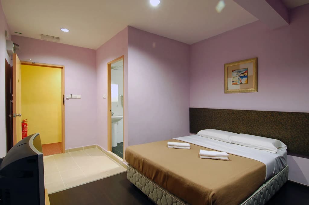 Aristo Hotel - photo 4