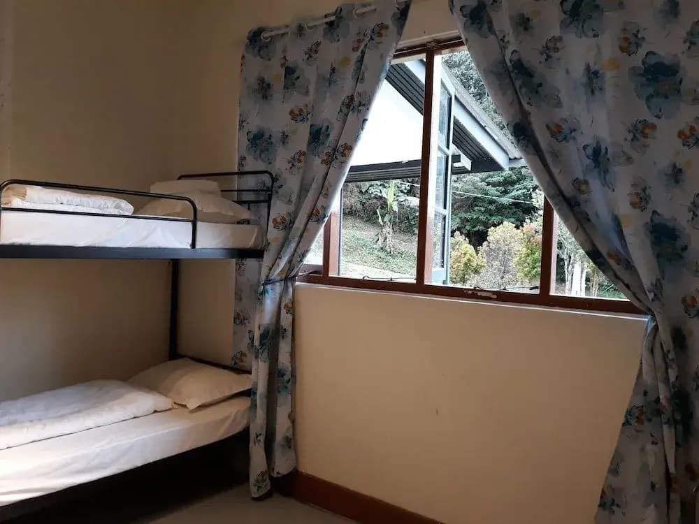 Farm Guest House - Hostel - photo 4