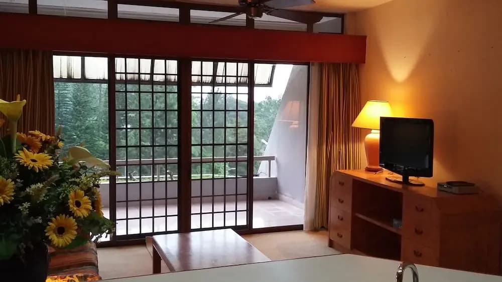 MV Apartment - photo 4