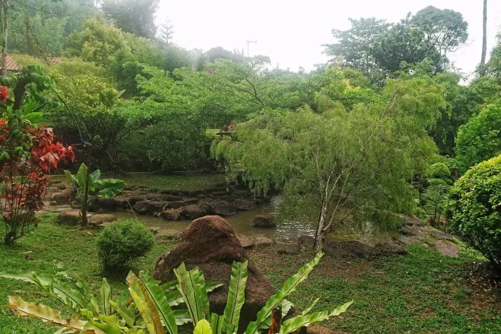 Harmony Valley Retreat - photo 11