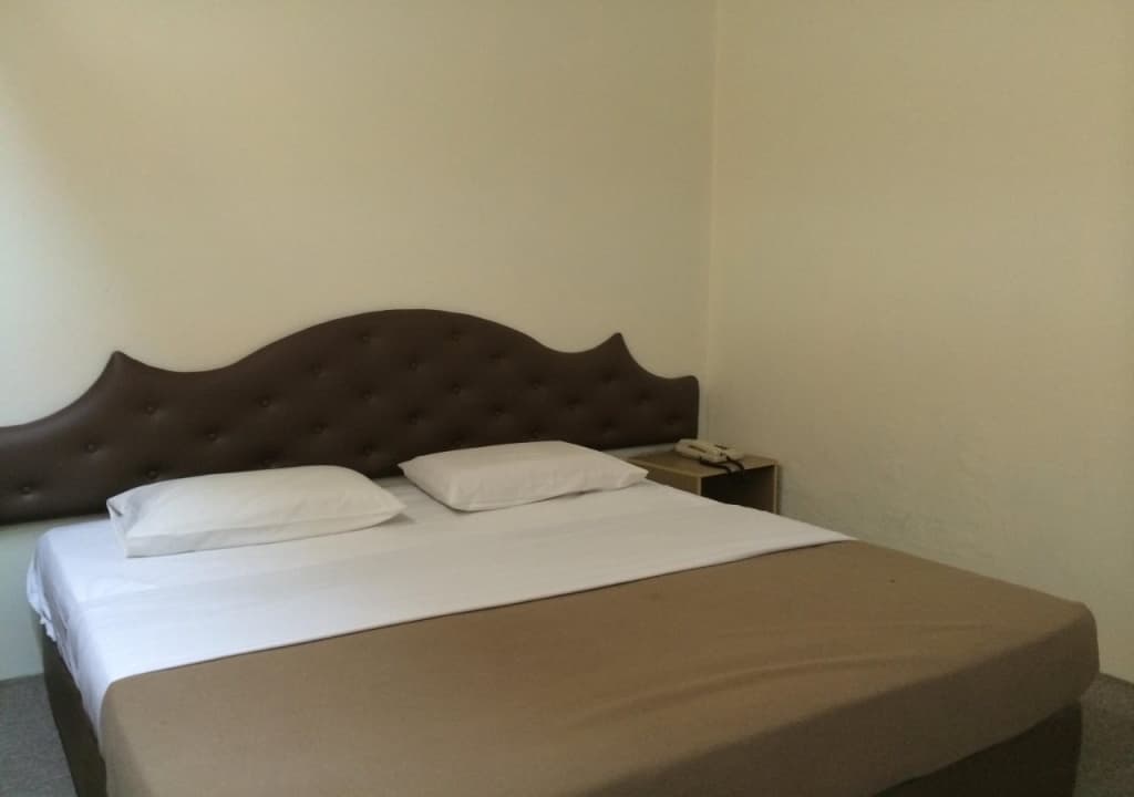 Palace Hotel - photo 7