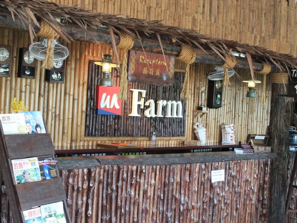 Uk Farm - photo 11