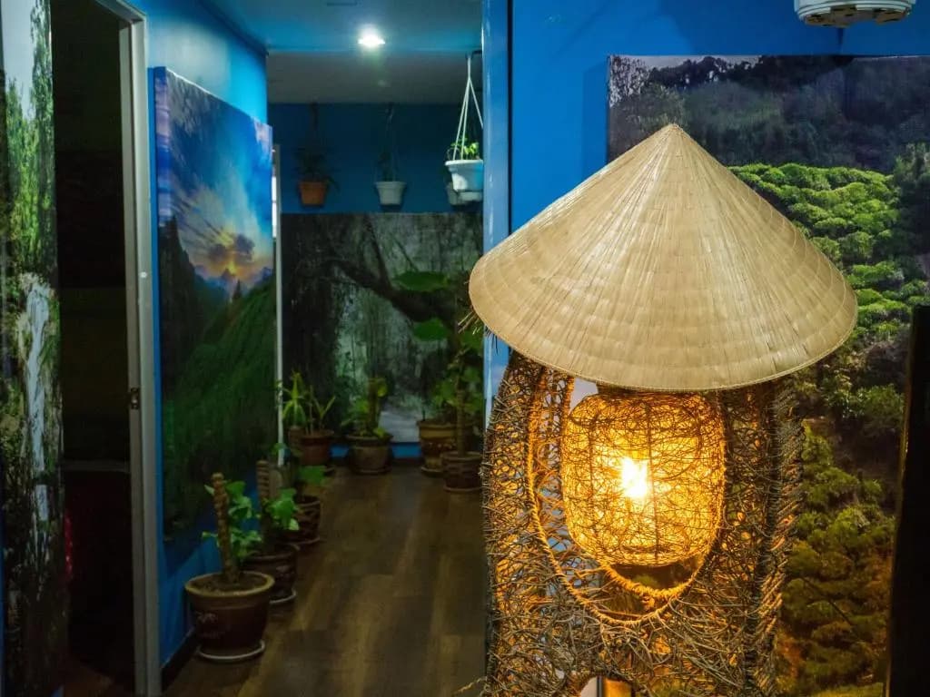 Orchid Haven - photo 13