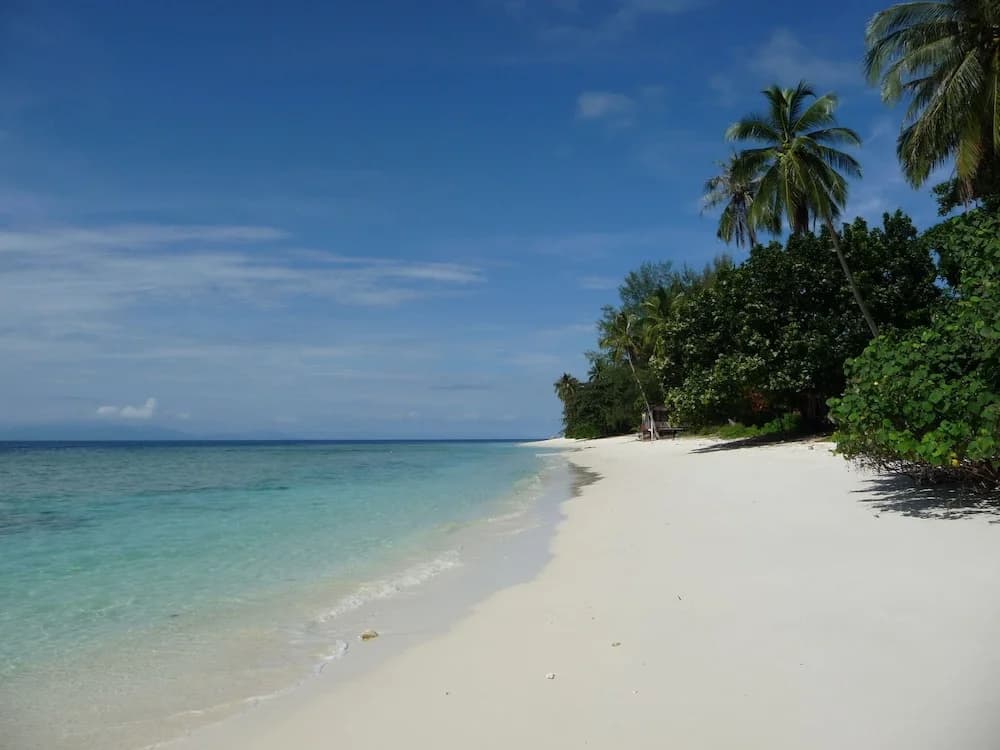 D' Coconut Pulau Besar Resort - photo 5