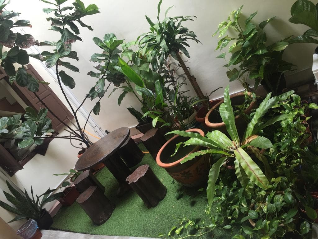 WeLuv Travel Guesthouse - photo 16