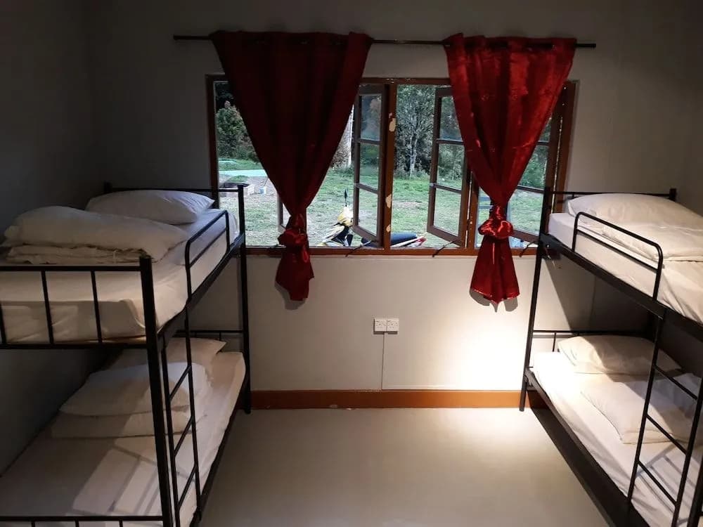 Farm Guest House - Hostel - photo 5