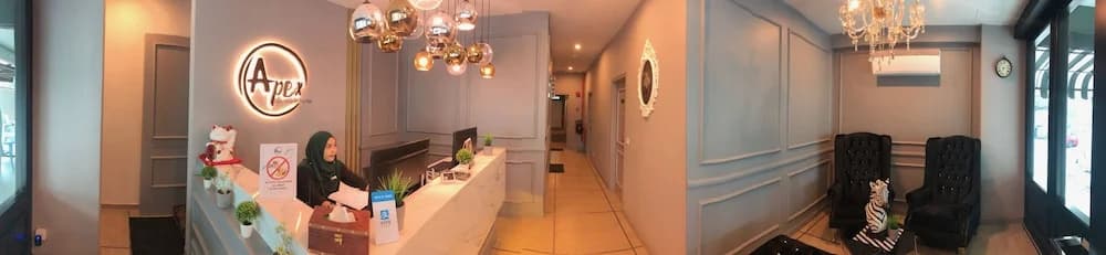 Apex Boutique Hotel - photo 13