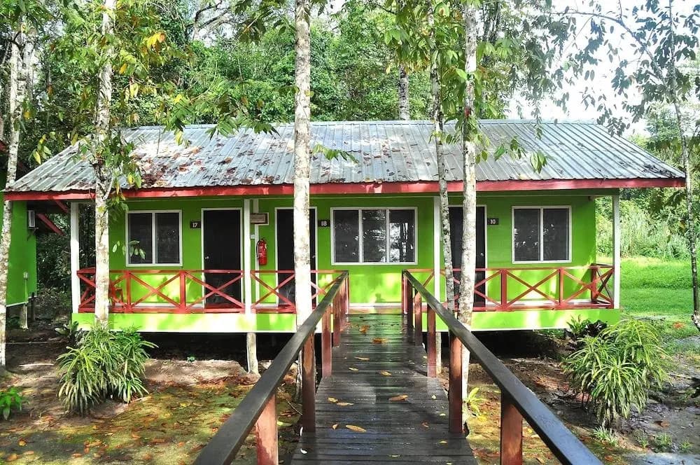 Sukau Greenview Bed and Breakfast - photo 10