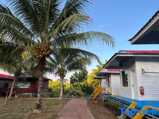 Coconut Garden Resort - main photo