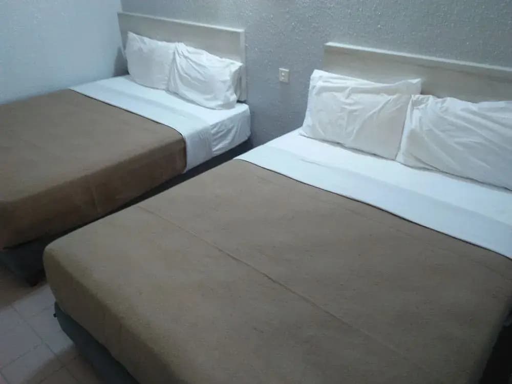 Lotus Inn Hotel - photo 4