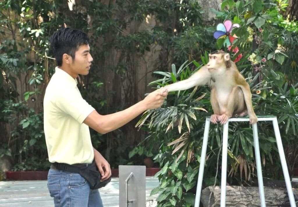 A'Famosa Resort - photo 21