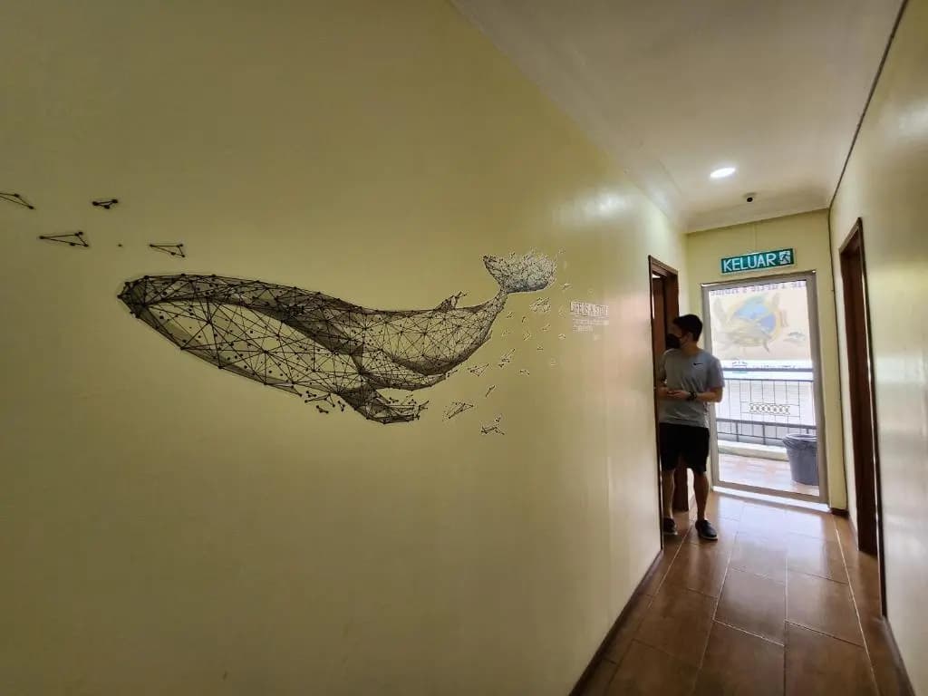 Lth (Little Turtles Home) - photo 9