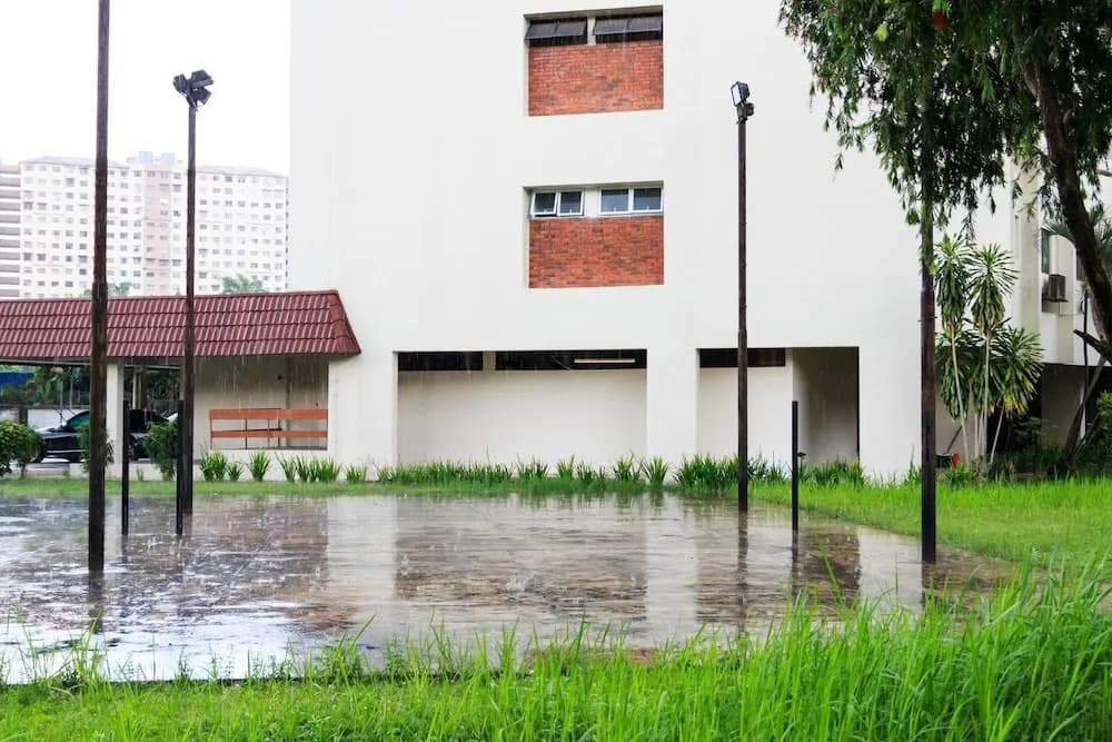 Cozy and Elegant Shahzan Court - main photo