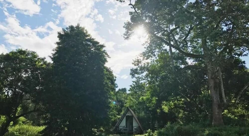The Forest Cabin Taiping - photo 13