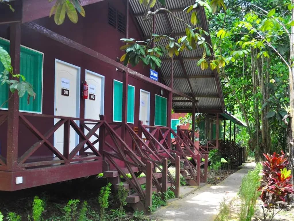 Sukau Greenview Bed and Breakfast - photo 2