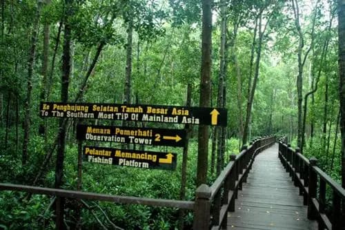 Homestay Sri Perhentian - photo 6