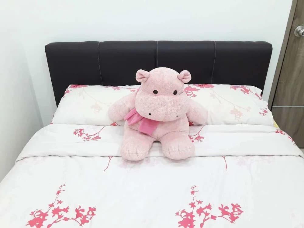OOI Homestay Alor Setar - photo 3
