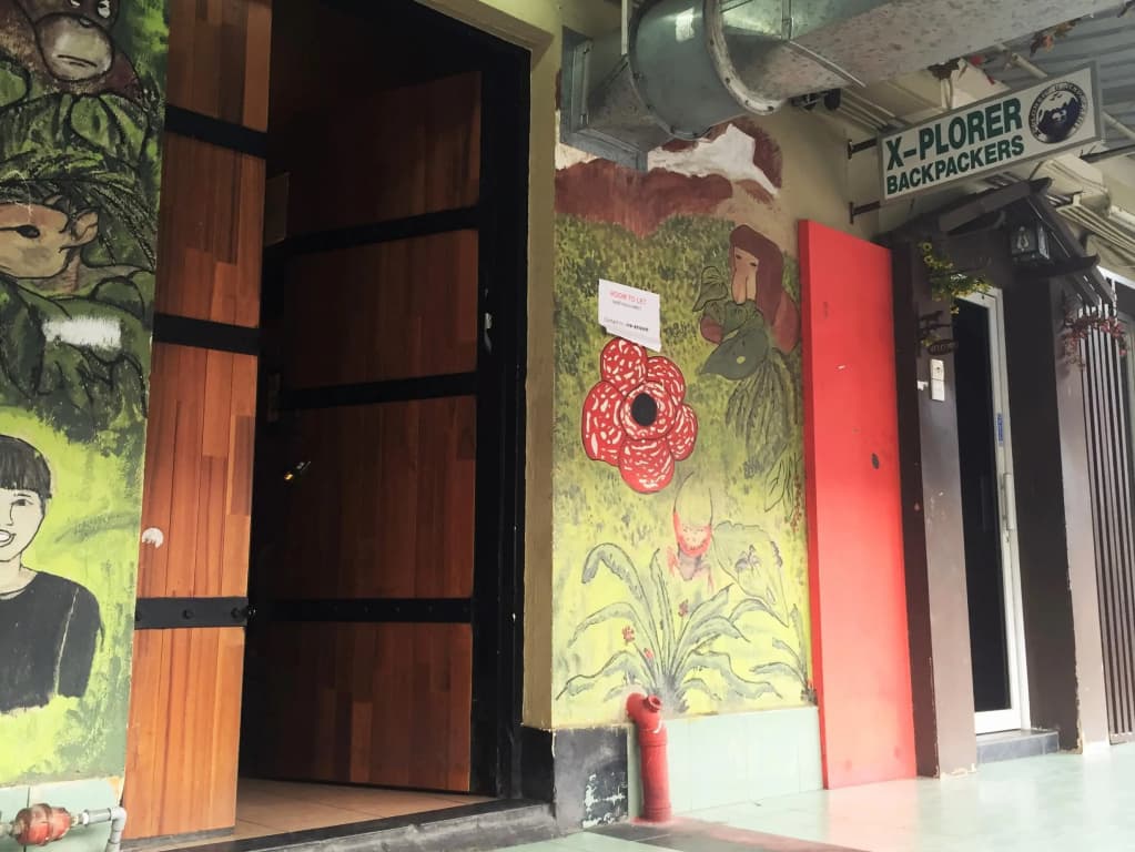 X-Plorer Backpackers - Hostel - main photo