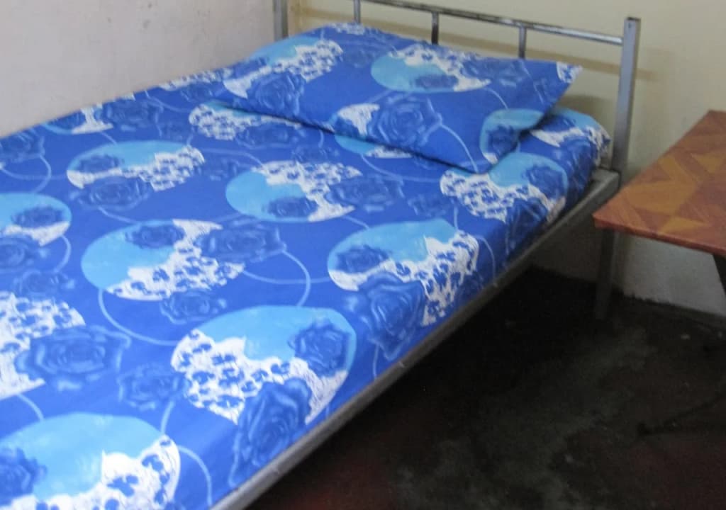 Day & Night Guesthouse - photo 8