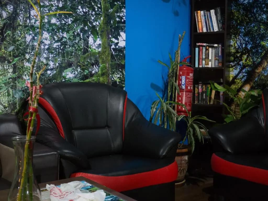 Orchid Haven - photo 11