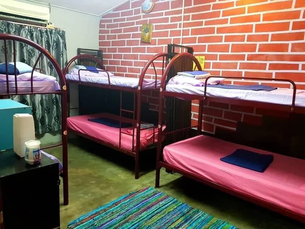 BOBI's Cafe Backpackers Hostel - photo 2