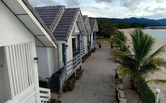 primrose seaview - photo 5