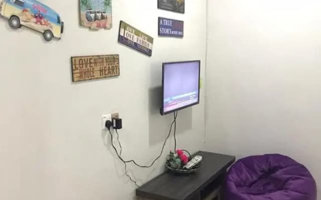 Aryan G100 Homestay - photo 2