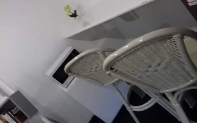 X-Plorer Backpackers - Hostel - photo 5