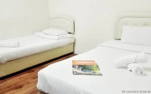 Sp Golden Star Hotel - photo 4