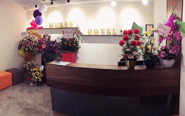 Musse Hotel - photo 2