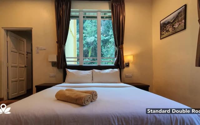 Arundina Cameron Highlands - photo 5