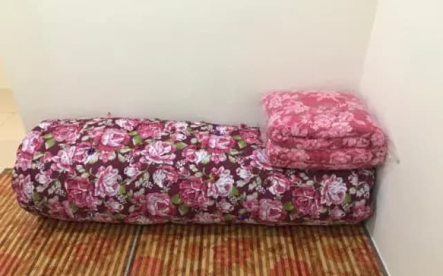 Ain Homestay - photo 2