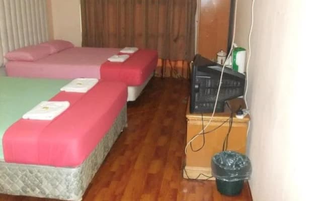 Hotel Citra - photo 4