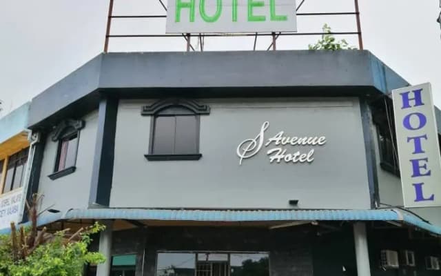 S Avenue Hotel - photo 4